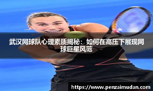 武汉网球队心理素质揭秘：如何在高压下展现网球巨星风范