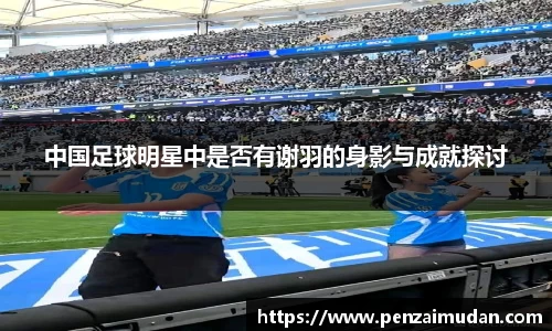 中国足球明星中是否有谢羽的身影与成就探讨