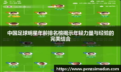 中国足球明星年龄排名榜揭示年轻力量与经验的完美结合